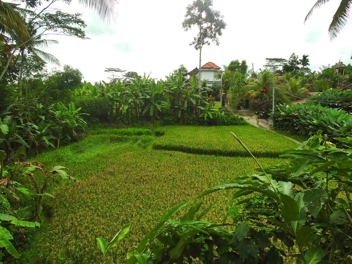 Hostel Mandala