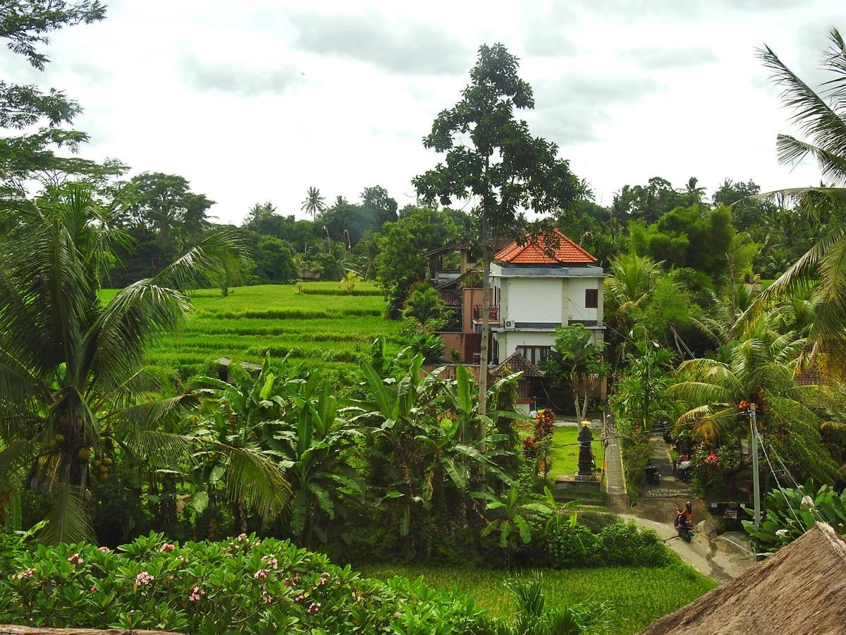Mandala Hostel Ubud