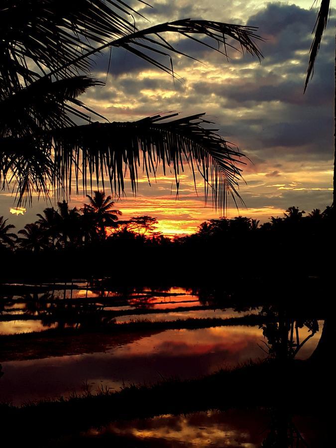 Mandala * Ubud