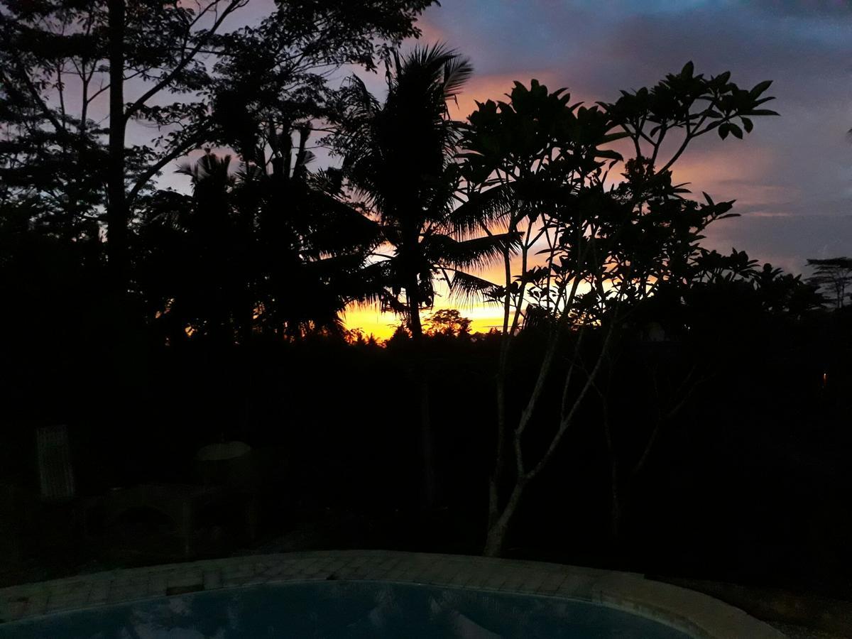 Mandala * Ubud