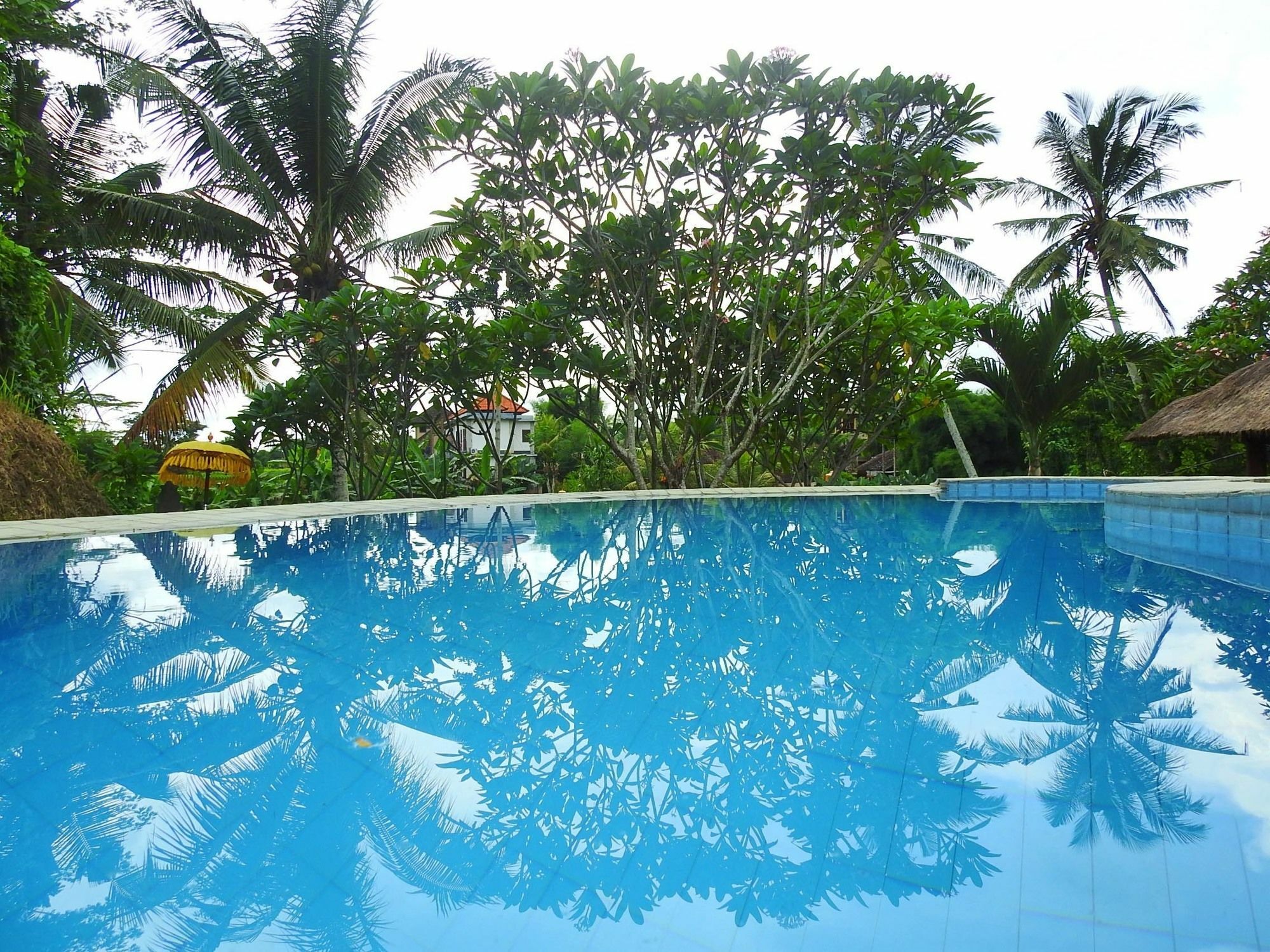 Mandala Hostel *