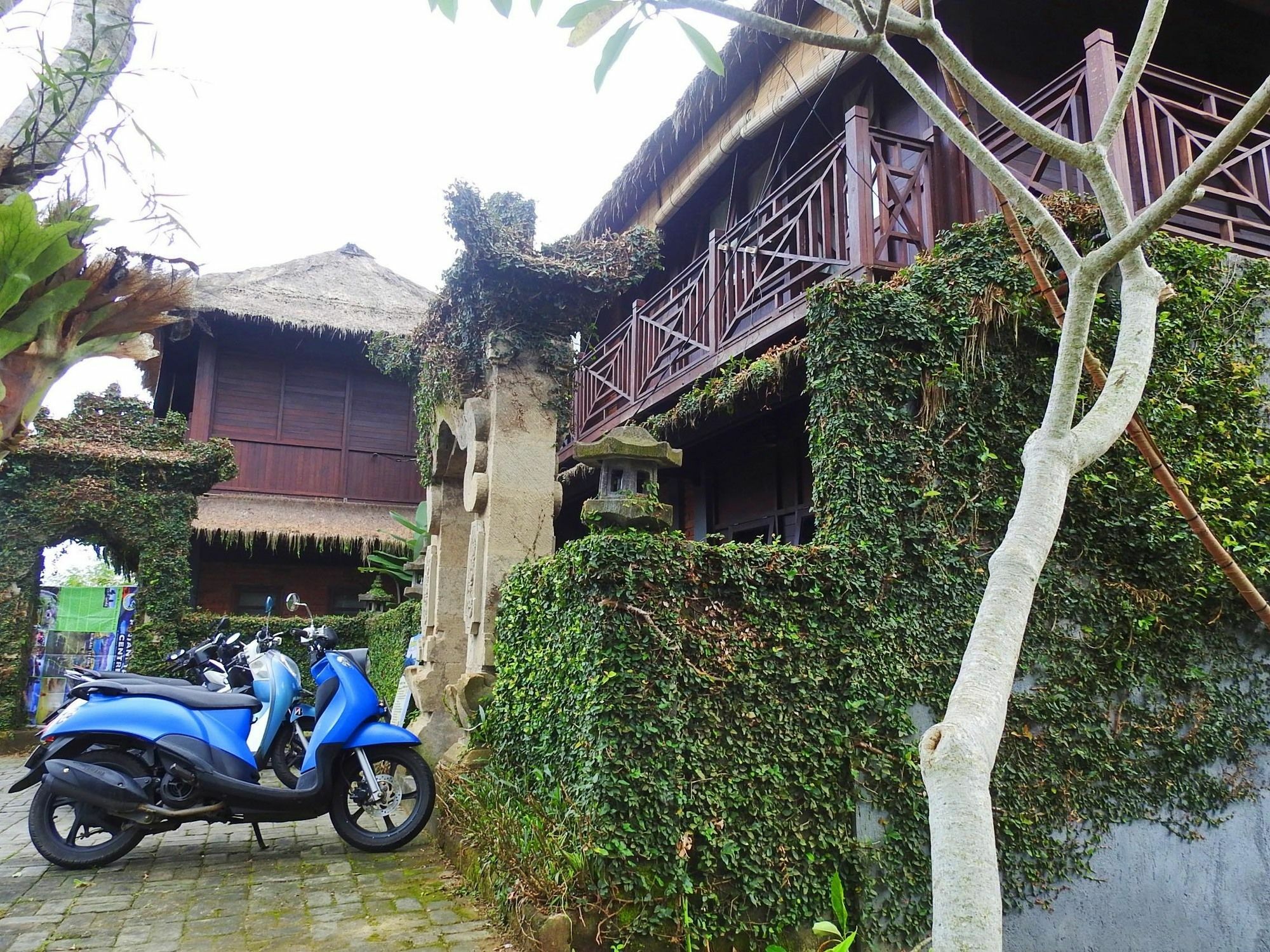 Mandala Hostel *